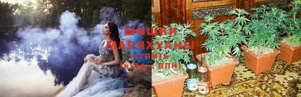 а пвп мука Бородино