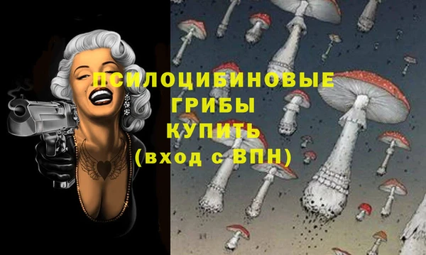 винт Бронницы