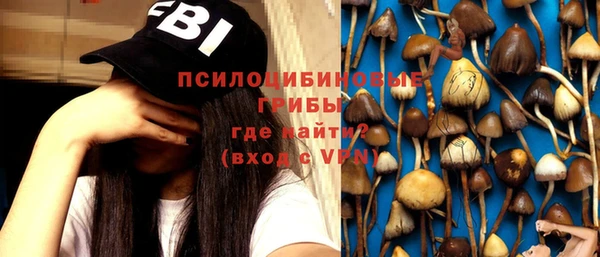 Альфа ПВП Верея