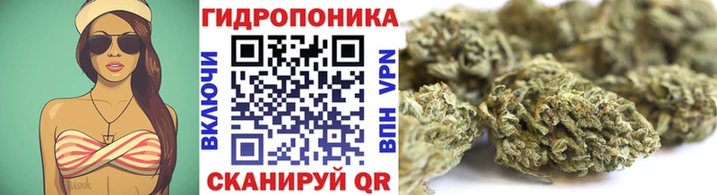 Шишки марихуана сатива  Купить закладки  Грайворон 